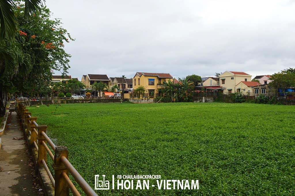 Hoi An - Vietnam (120)