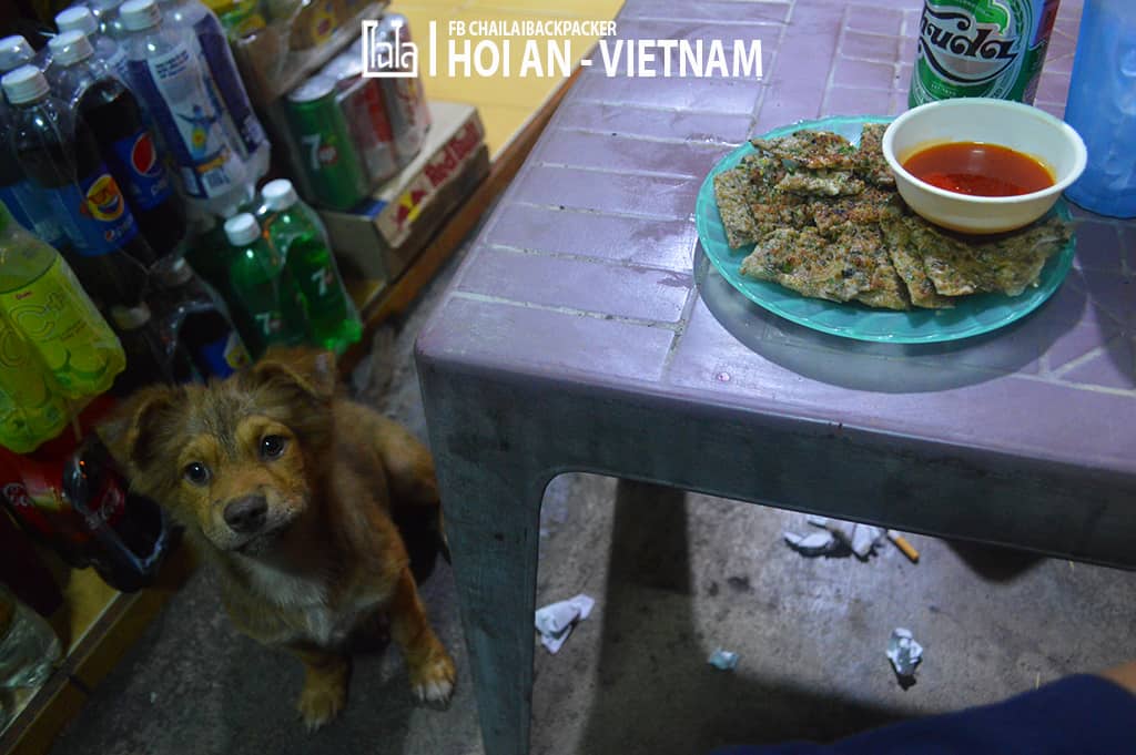 Hoi An - Vietnam (276)