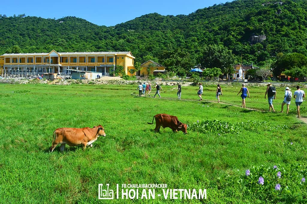 Hoi An - Vietnam (309)