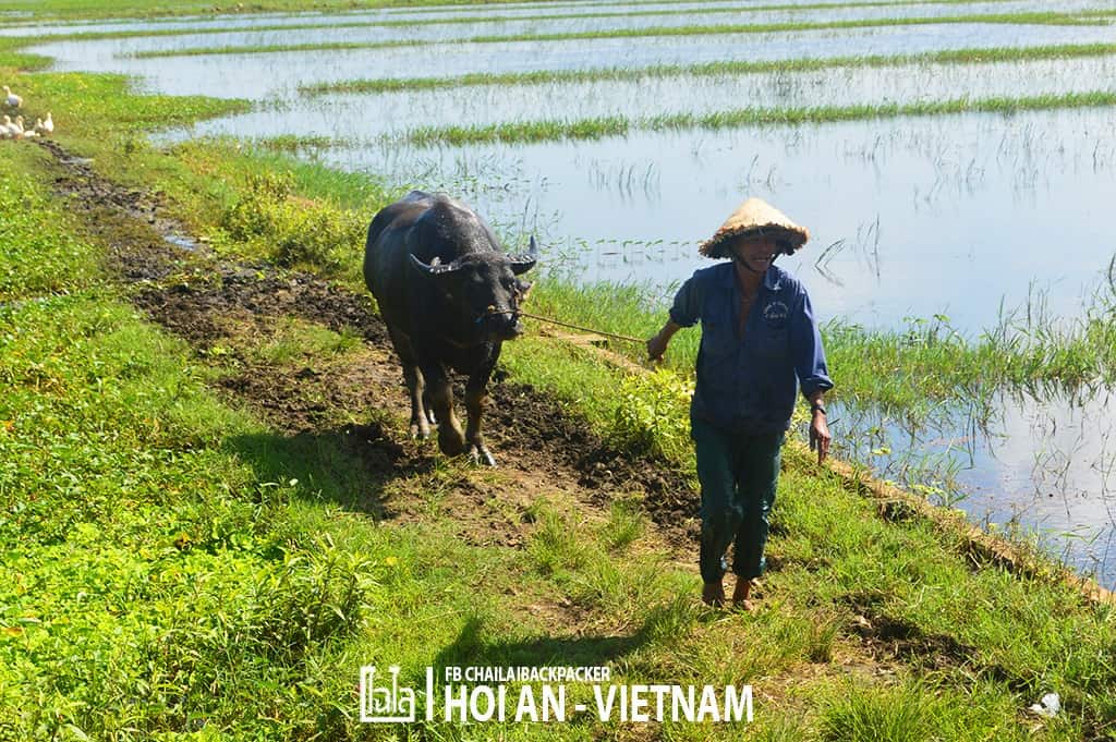 Hoi An - Vietnam (358)