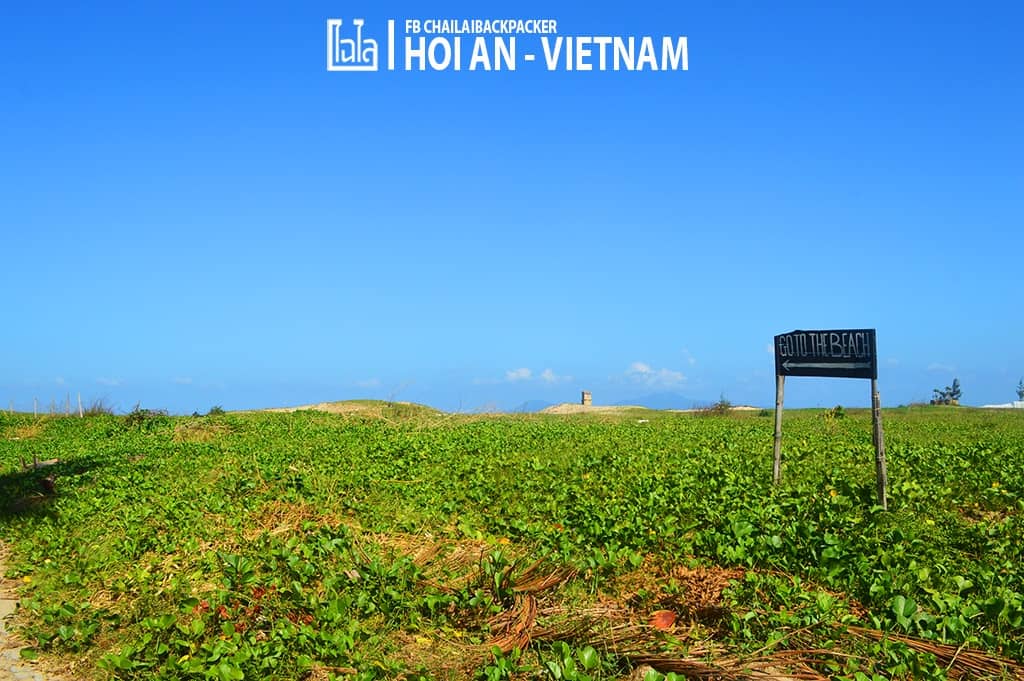 Hoi An - Vietnam (379)