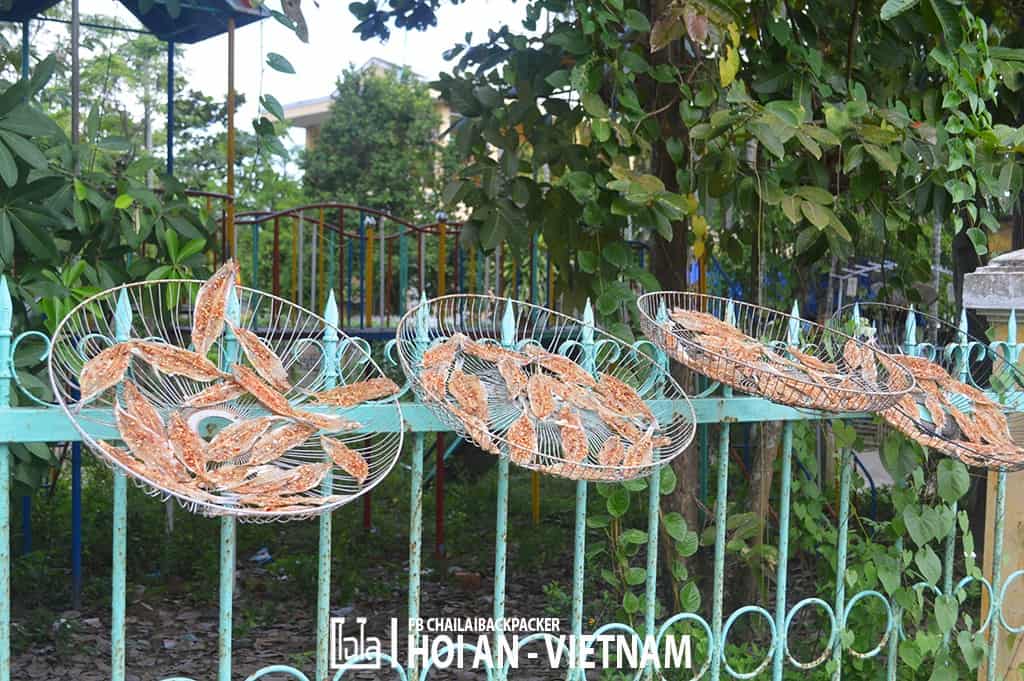 Hoi An - Vietnam (410)