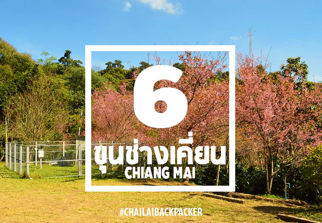 Chiang Mai Pink (22)