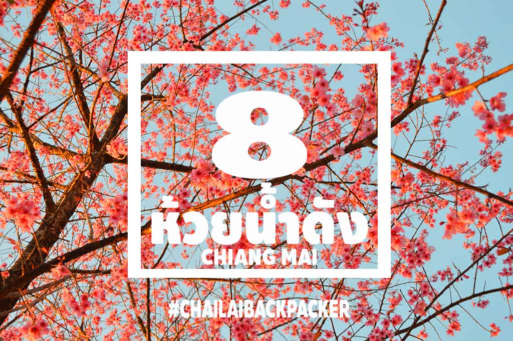 Chiang Mai Pink (30)