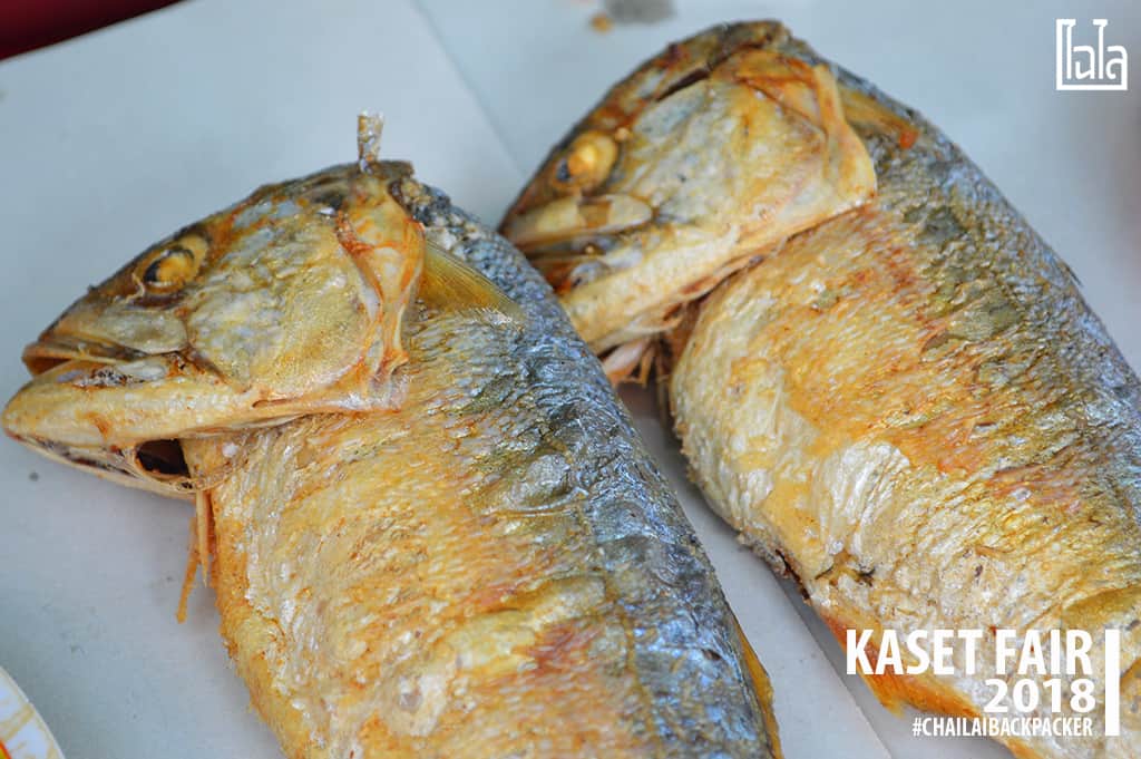 33 #ปลาทูโอมาน ปลาน้ำลึก ปีนึง.. ได้กินแค่ 4 เดือน #พิกัด : โซน E ตลาดนนทรีวิถีเกษตร(บริเวณสำนักพิพิธภัณฑ์)