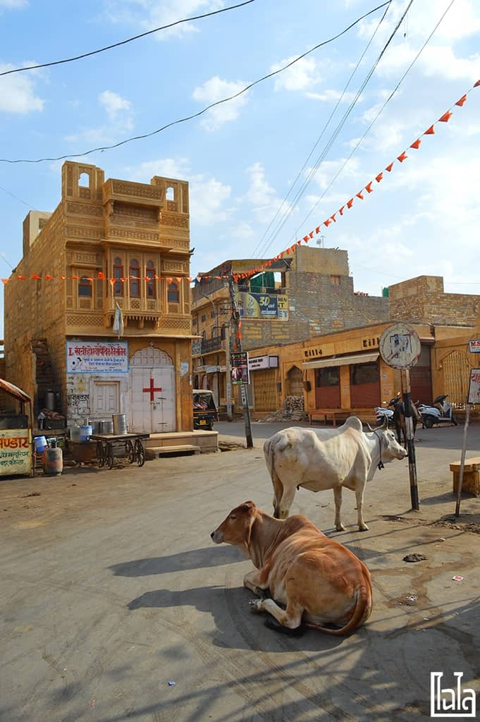 Jaisalmer India (14)
